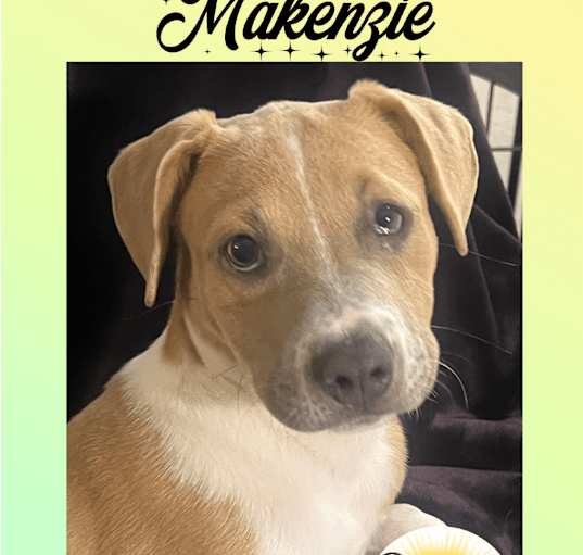 Photo of Makenzie(Miss Mac)