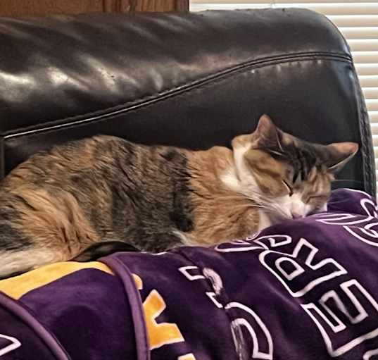 Photo of Piper
