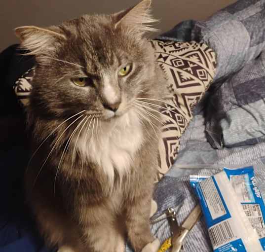 Photo of Lucy