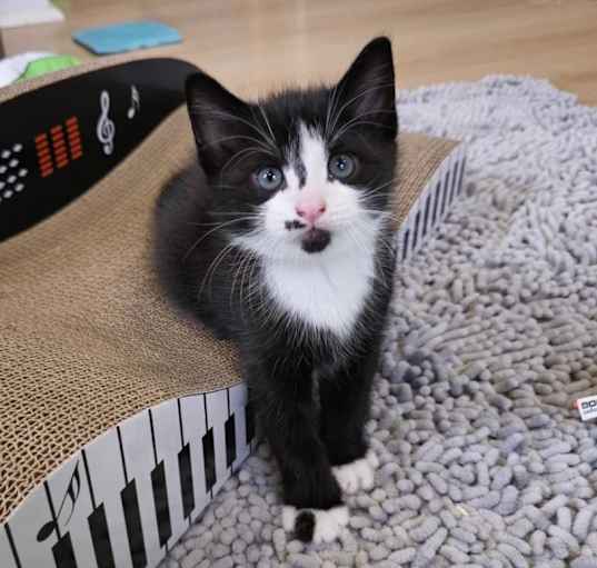 Photo of Jude