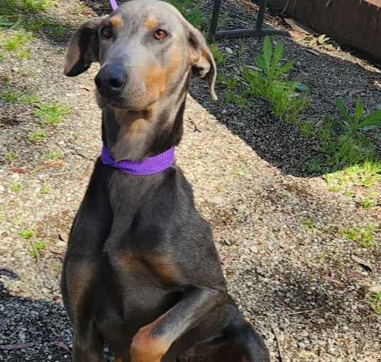 Photo of Gretchen