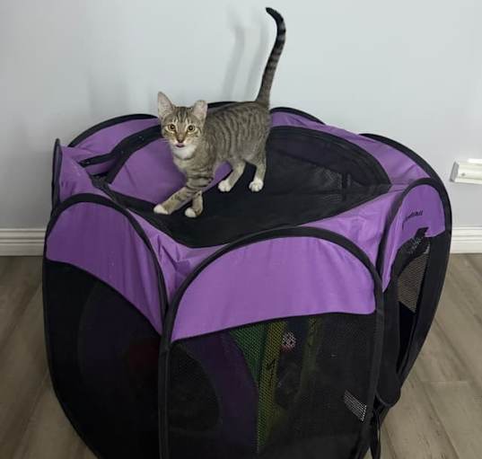 Photo of Parker 2