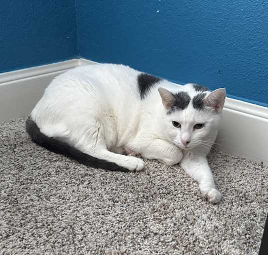 Photo of Lucy