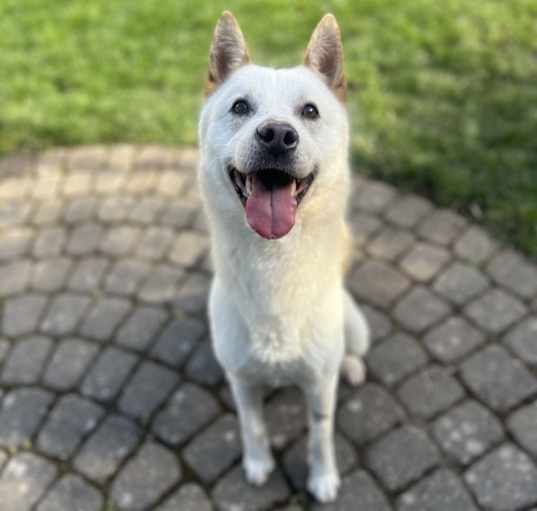 Photo of Gus