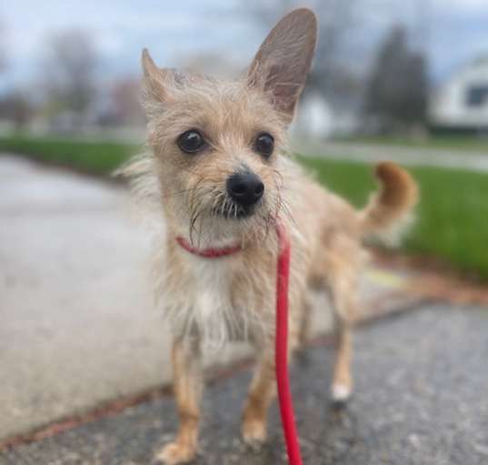 Photo of Calvin