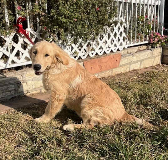 Photo of Casper