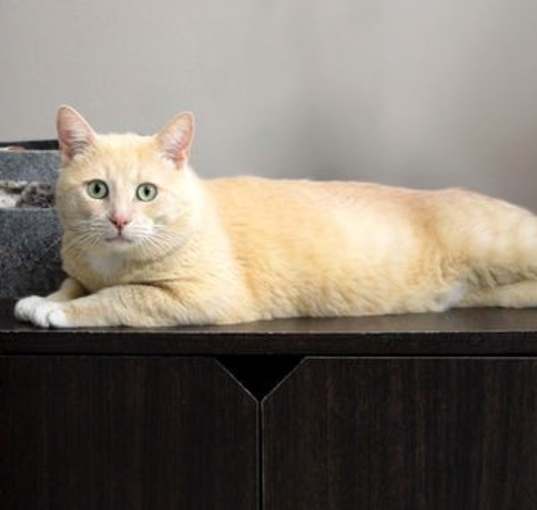 Photo of Mister Winston