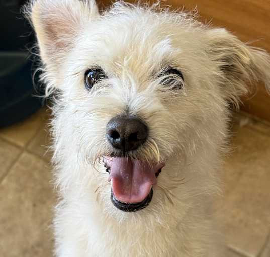 Photo of Benny