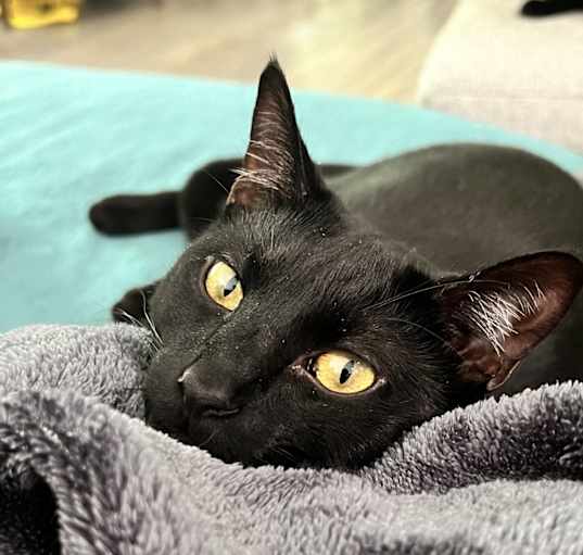 Photo of Stanley