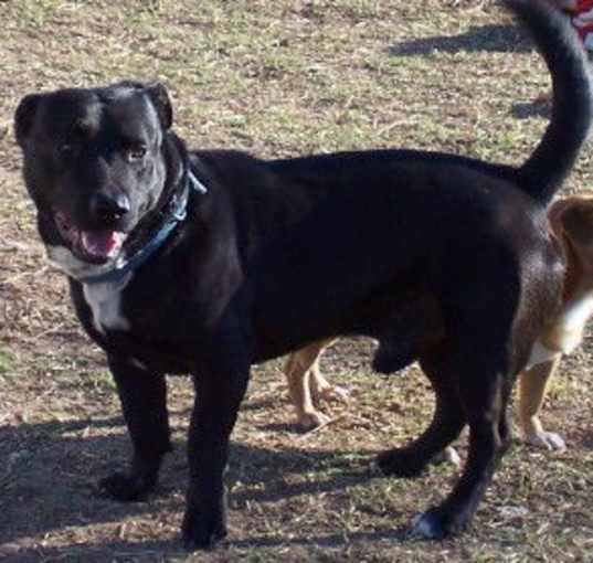 Photo of Dude