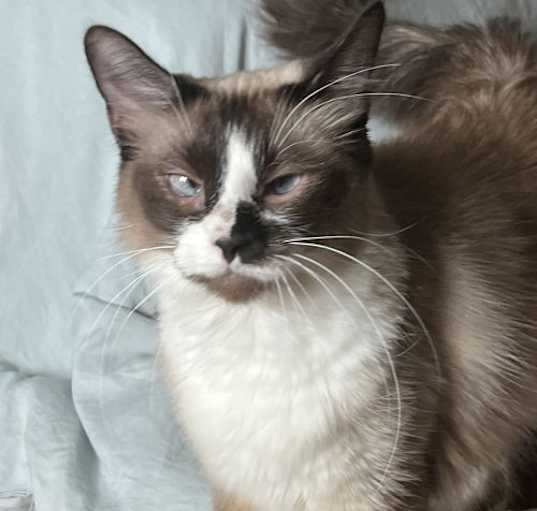 Photo of Gitisha