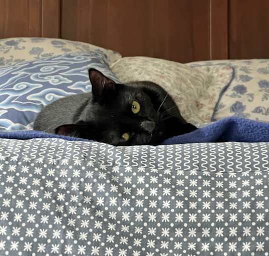 Photo of Spooky