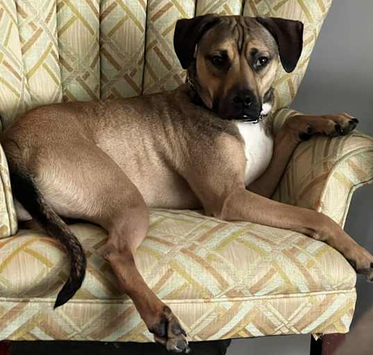 Photo of Max