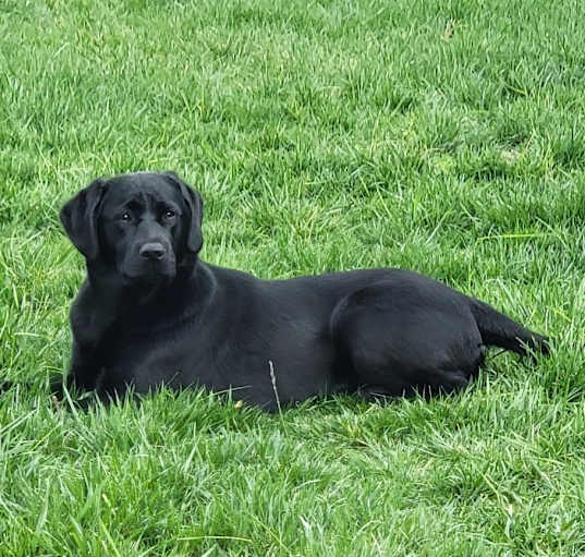 Photo of Cali