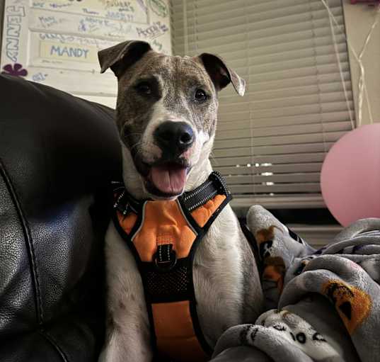 Photo of Aggie