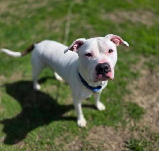 Photo of Jax