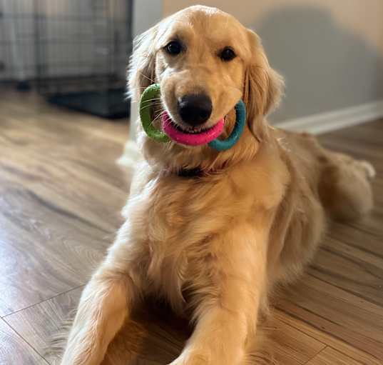 Photo of Molly