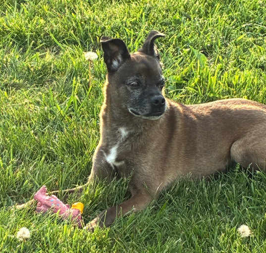 Photo of Margo