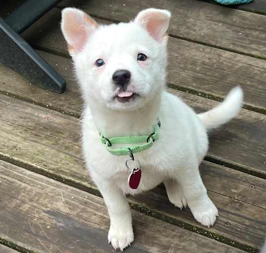 Photo of ELLIE