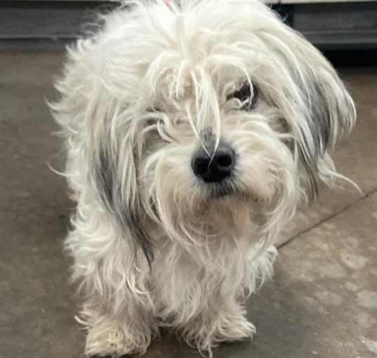 Photo of MIMZY