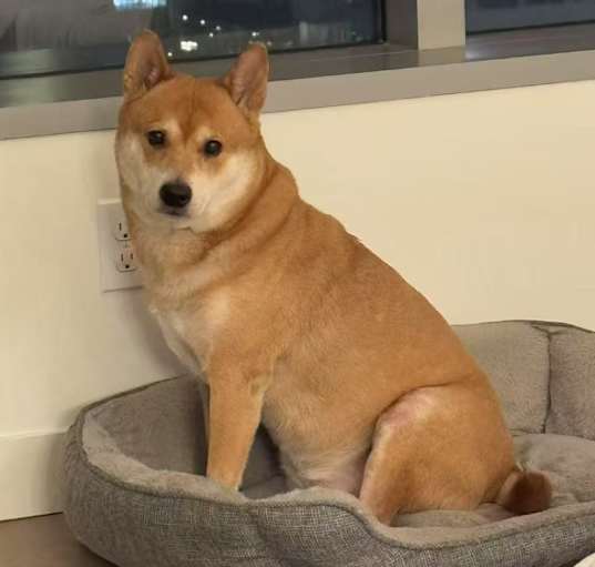 Photo of Yuta
