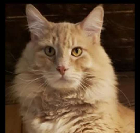 Photo of Patty
