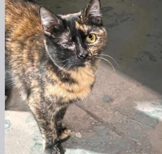 Photo of Winnie
