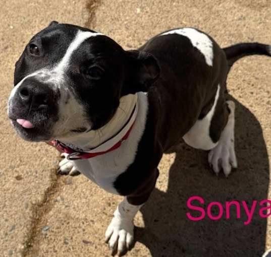 Photo of Sonya Uriah Philly
