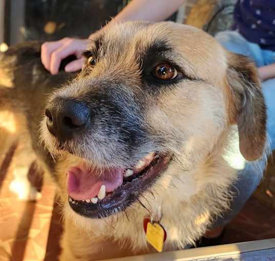 Photo of Molly