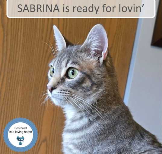Photo of Sabrina