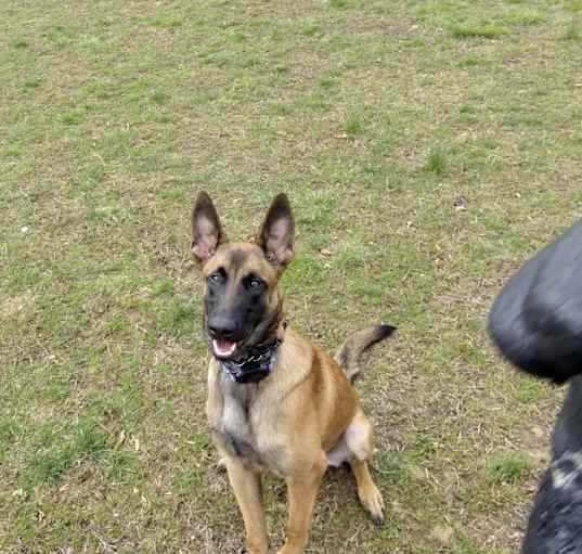 Photo of Ziva