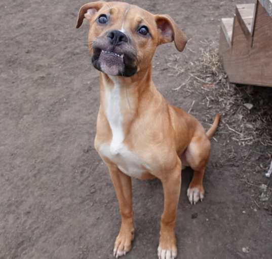 Photo of Timmy Toofers