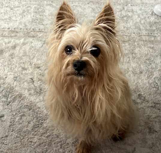 Photo of Pj