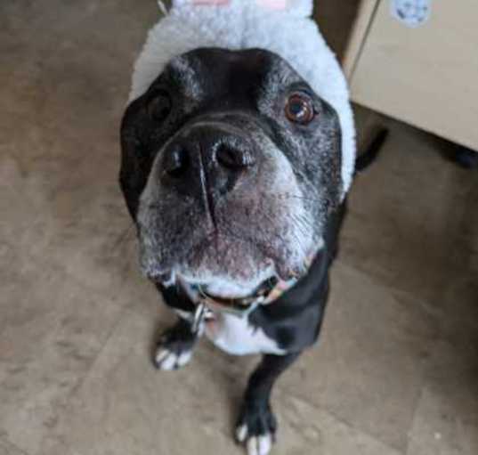 Photo of Bright