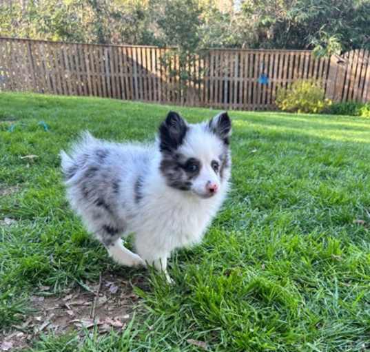 Photo of Lucy