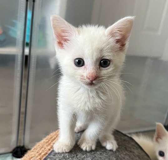 Photo of Yuki