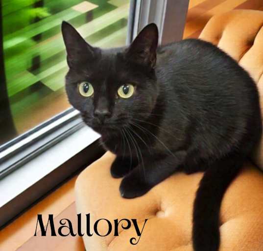 Photo of Mallory