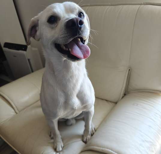 Photo of lucky