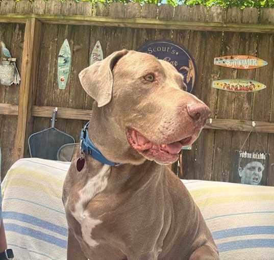 Photo of Tater
