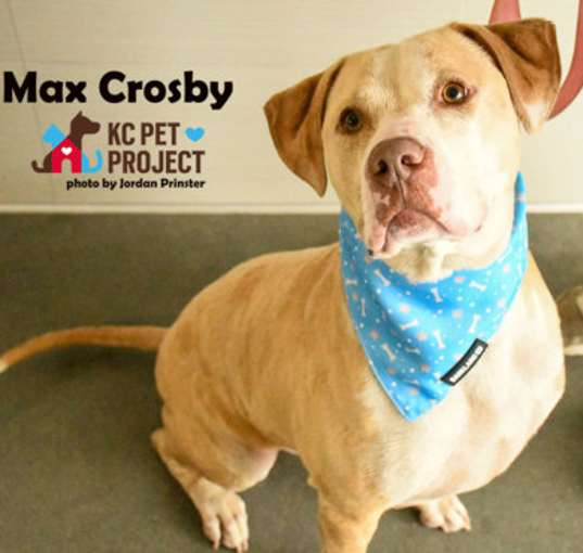 Photo of Max Crosby
