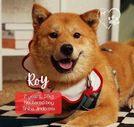 Photo of Roy