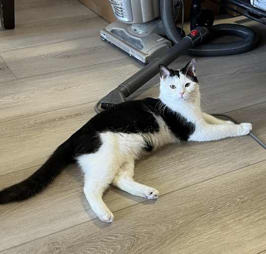 Photo of Puppa