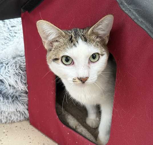 Photo of Dakota