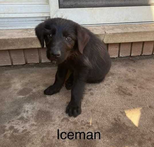 Photo of Kilmer : Iceman