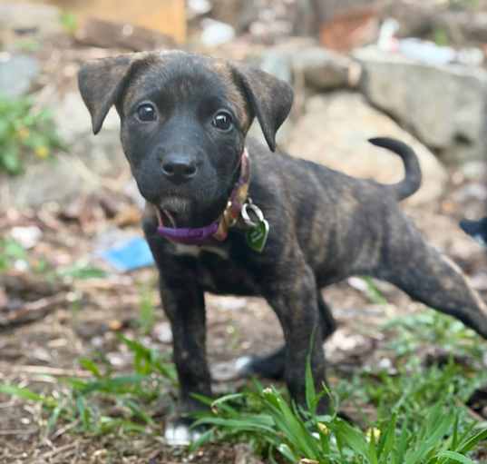 Photo of Shania