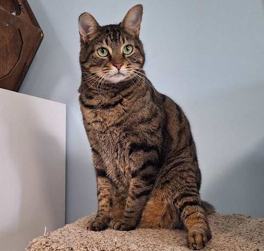 Photo of Renly