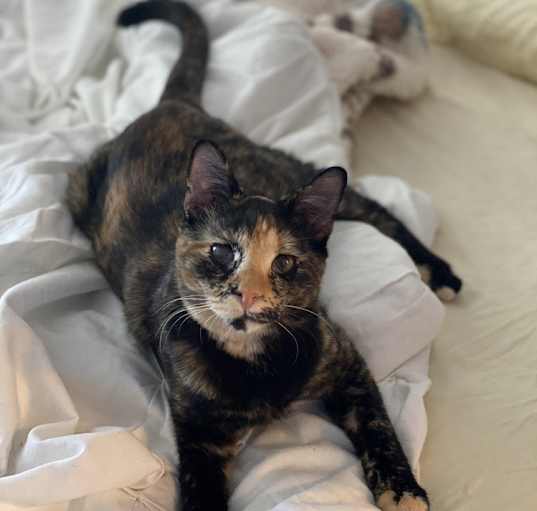 Photo of Phoebe