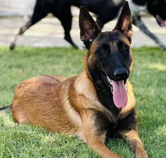 Photo of Lovely Leia