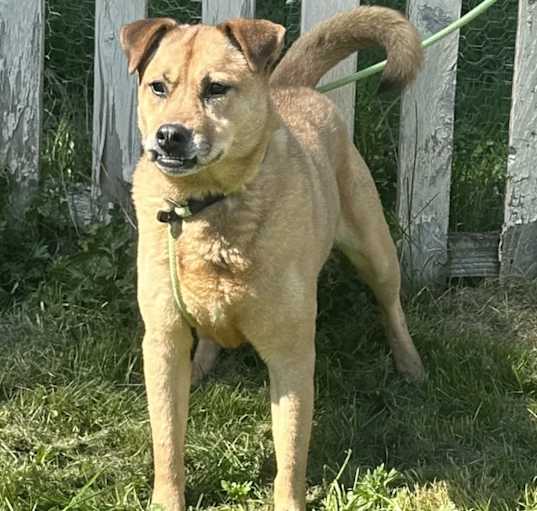 Photo of Sandy