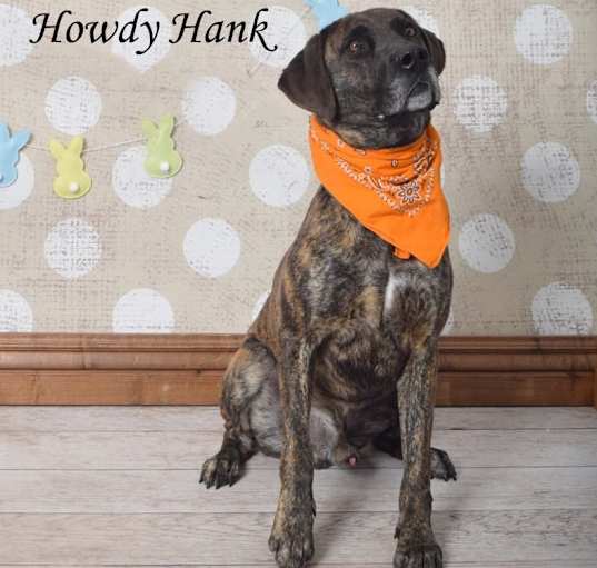 Photo of Howdy Hank